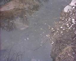 Inquinamento 24-02-05 013.jpg